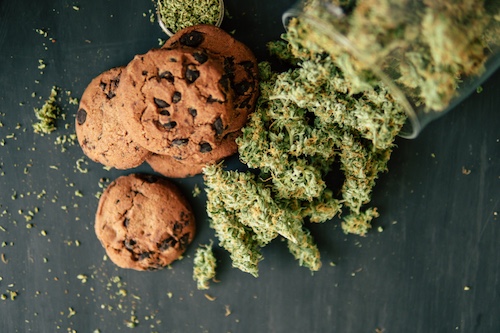Cookies cannabis seeds and buds from Pyramid Seeds — sweet and earthy terpene profile